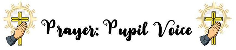 Pupil Voice